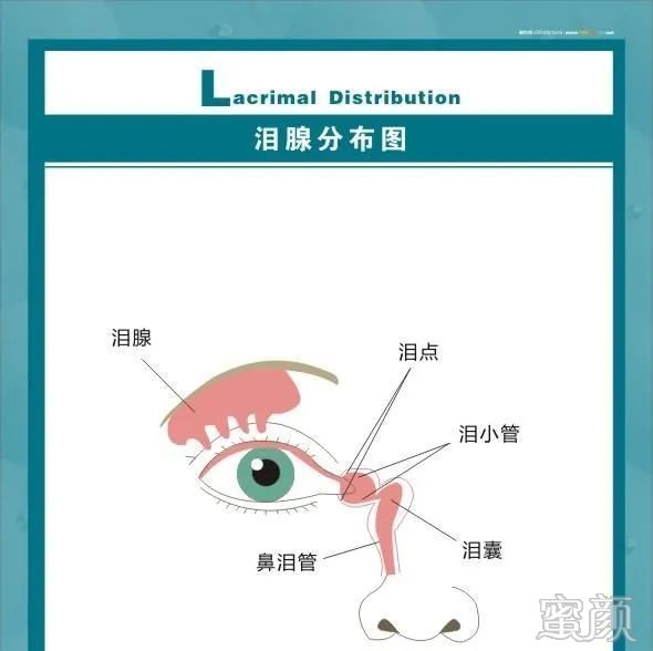https://img.miyanlife.com/mnt/timg/200310/13103H391-6.jpg