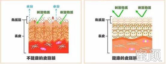 https://img.miyanlife.com/mnt/timg/200310/1315093513-3.jpg
