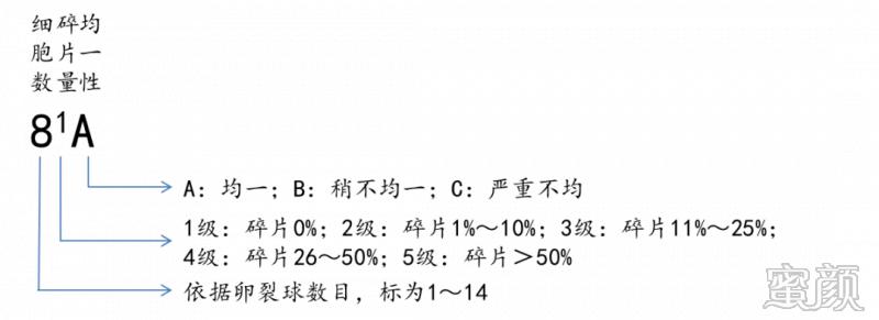 https://img.miyanlife.com/mnt/timg/200312/131623N07-3.jpg