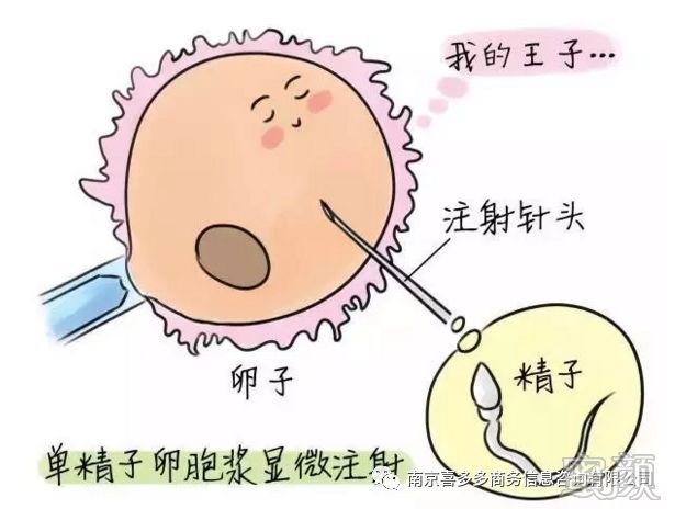 https://img.miyanlife.com/mnt/timg/200312/131F31947-0.jpg