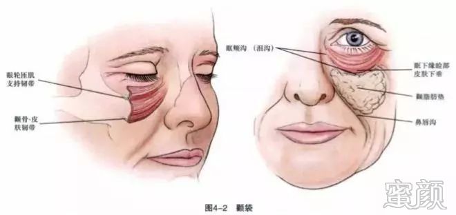 https://img.miyanlife.com/mnt/timg/200313/1359393444-2.jpg