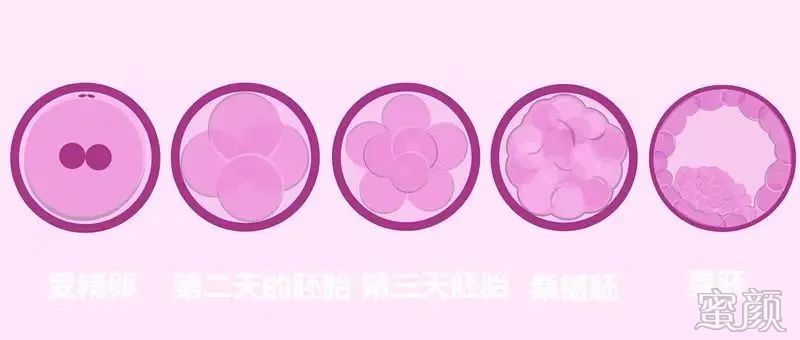 https://img.miyanlife.com/mnt/timg/200326/12540562U-5.jpg