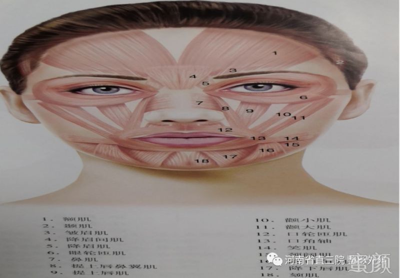 https://img.miyanlife.com/mnt/timg/200326/14191443V-0.jpg