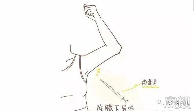 案例图片