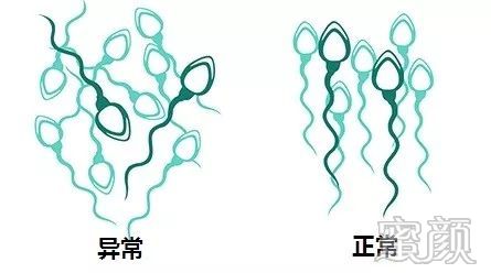 https://img.miyanlife.com/mnt/timg/200328/12331Q022-5.jpg