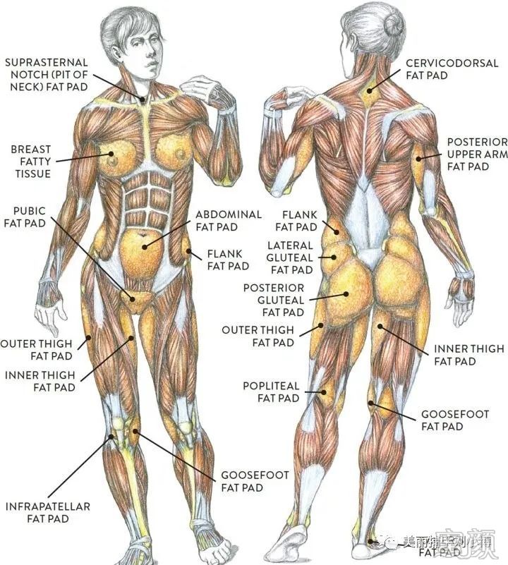 https://img.miyanlife.com/mnt/timg/200407/1U25HC7-3.jpg