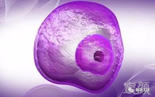 https://img.miyanlife.com/mnt/timg/200411/1F4331419-2.jpg
