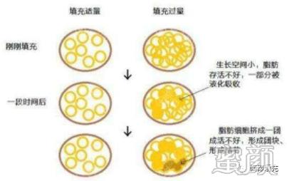 https://img.miyanlife.com/mnt/timg/200411/1U6211496-1.jpg