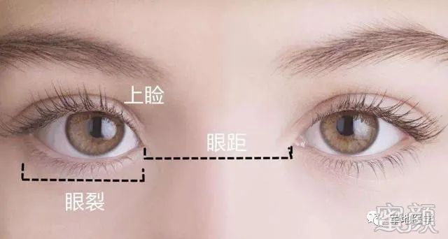 https://img.miyanlife.com/mnt/timg/200412/1309223945-2.jpg