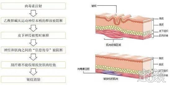 https://img.miyanlife.com/mnt/timg/200414/13454540X-0.jpg