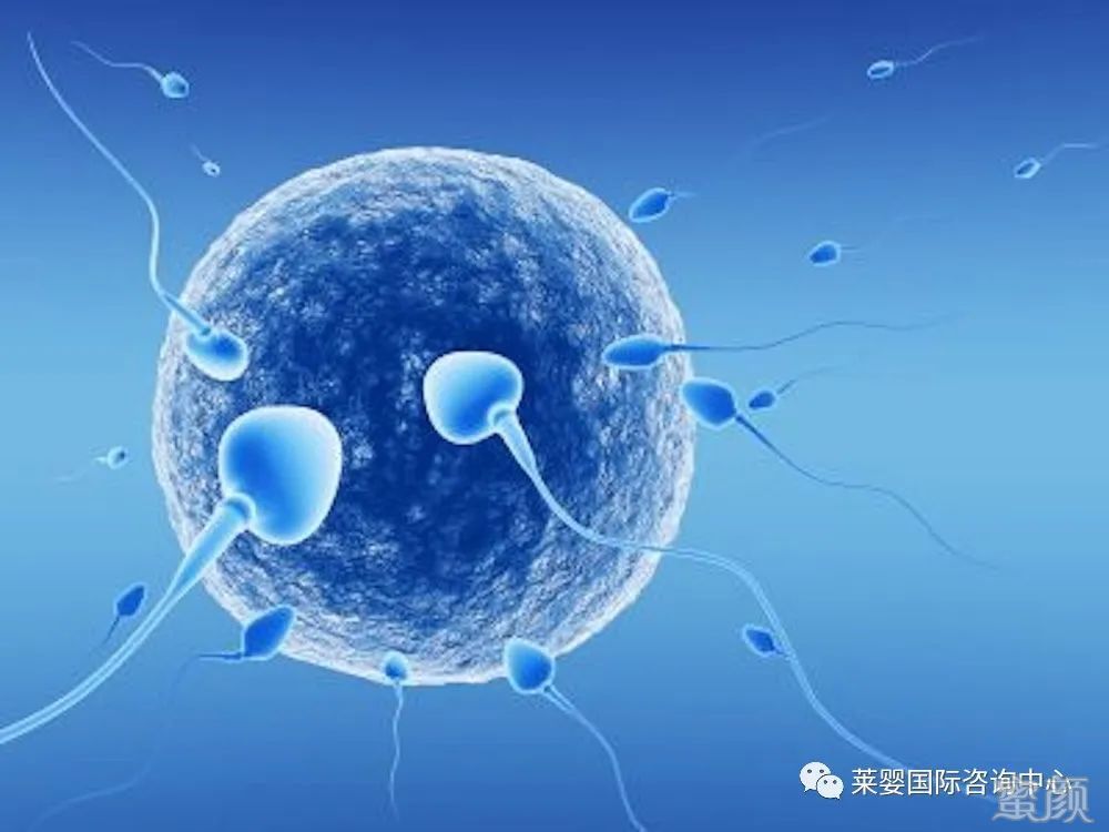 https://img.miyanlife.com/mnt/timg/200415/14023J628-0.jpg