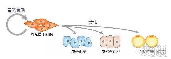 案例图片