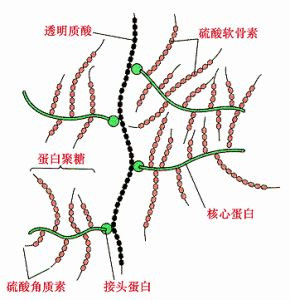 https://img.miyanlife.com/mnt/timg/200415/152631DC-5.jpg
