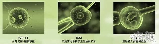 https://img.miyanlife.com/mnt/timg/200416/142A01c7-4.jpg