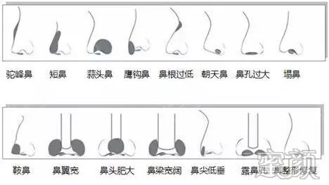 案例图片