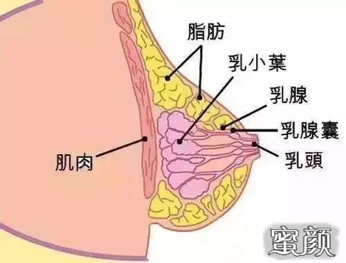 https://img.miyanlife.com/mnt/timg/200418/1406343937-12.jpg