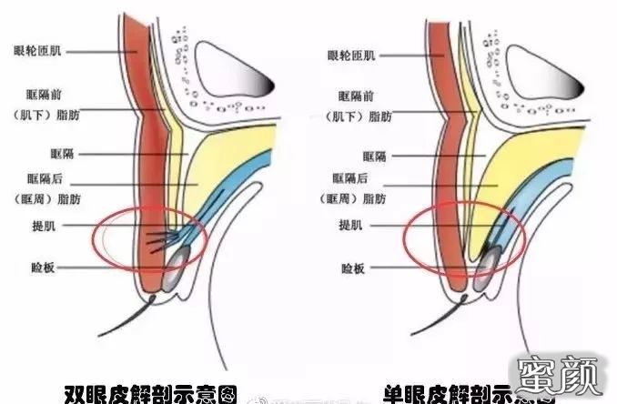 https://img.miyanlife.com/mnt/timg/200422/123HW027-3.jpg