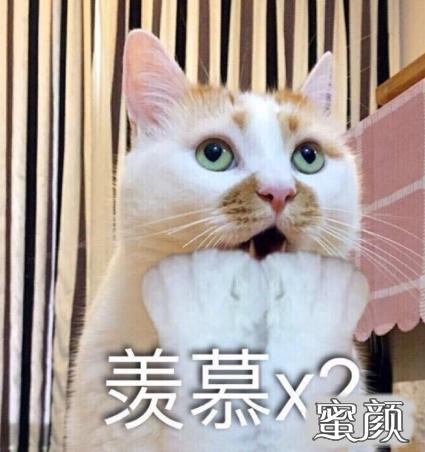 https://img.miyanlife.com/mnt/timg/200422/163500C54-8.jpg