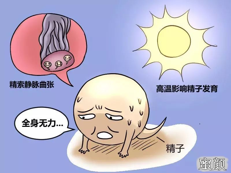 https://img.miyanlife.com/mnt/timg/200423/14140U937-3.jpg