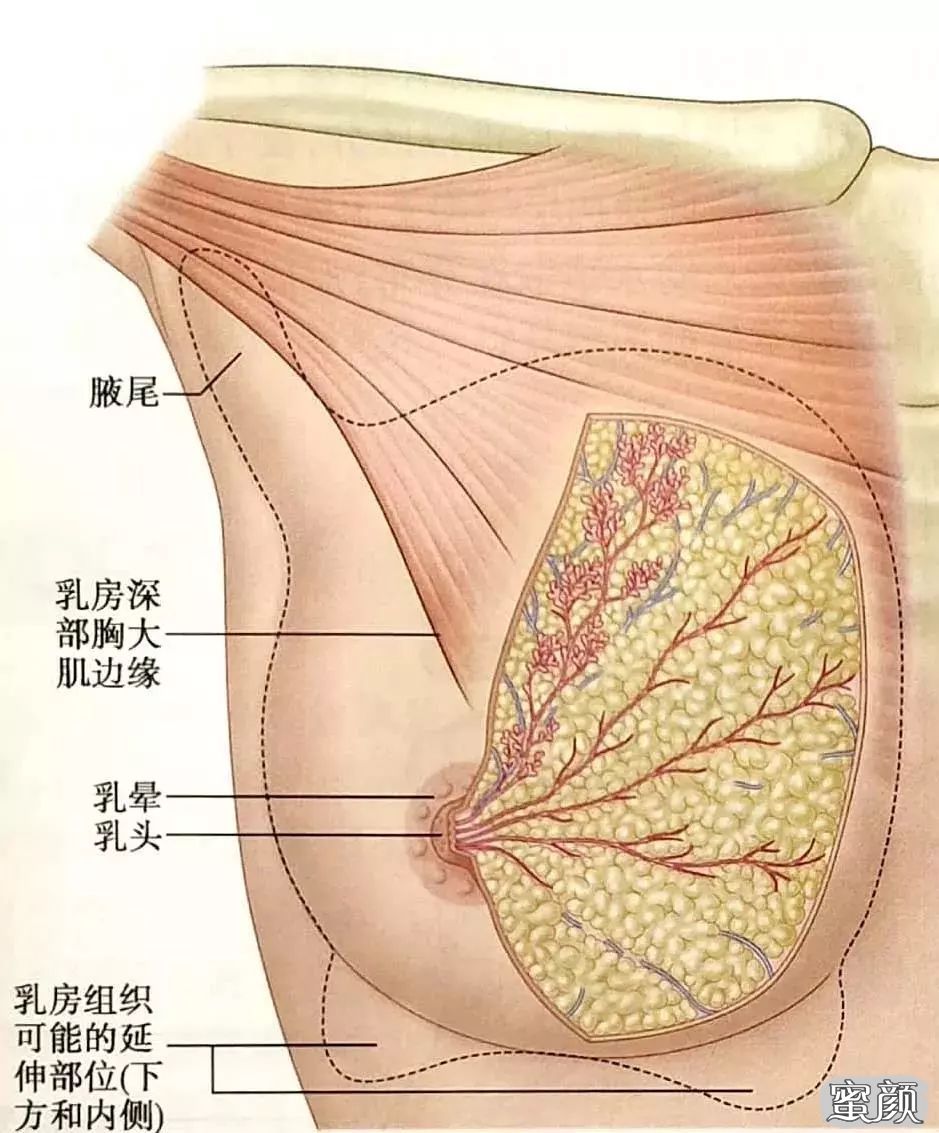 案例图片