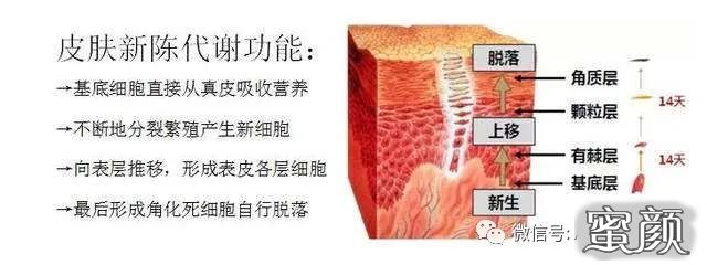 https://img.miyanlife.com/mnt/timg/200425/162J23559-1.jpg