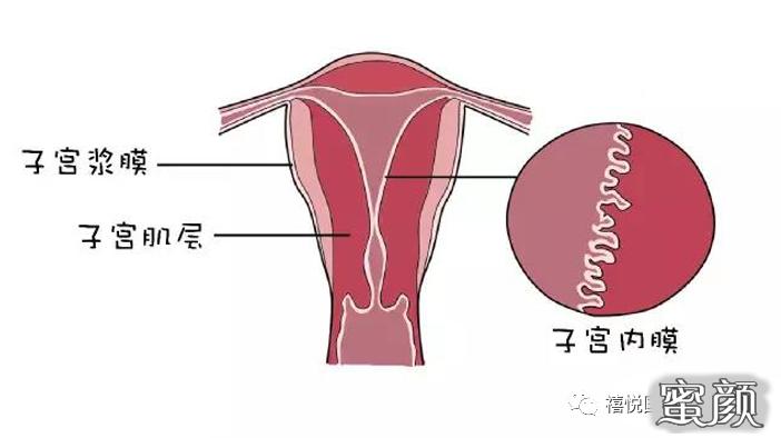 https://img.miyanlife.com/mnt/timg/200425/1910252O1-3.jpg