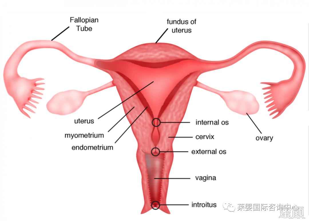 https://img.miyanlife.com/mnt/timg/200427/15055K309-2.jpg