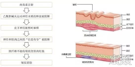 案例图片