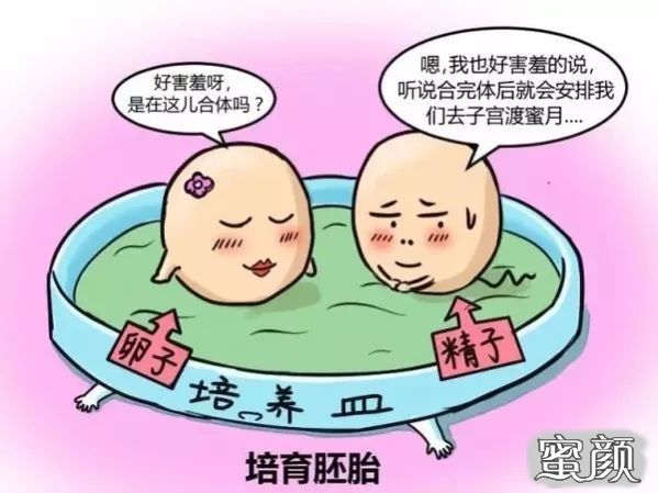 https://img.miyanlife.com/mnt/timg/200428/13500T0Y-0.jpg