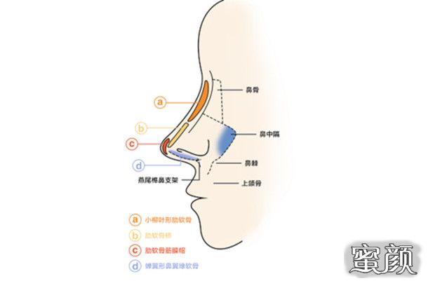 案例图片