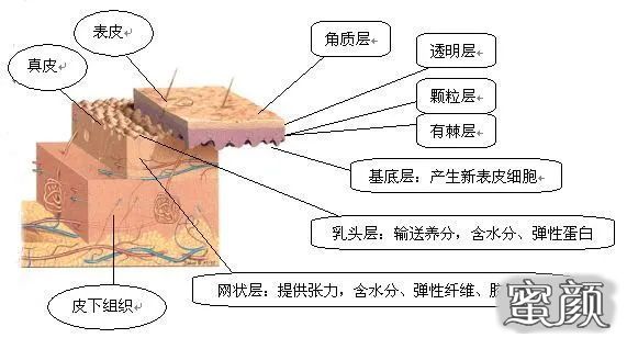 https://img.miyanlife.com/mnt/timg/200430/131352GZ-7.jpg