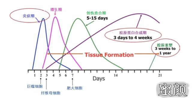 https://img.miyanlife.com/mnt/timg/200508/133103FC-8.jpg