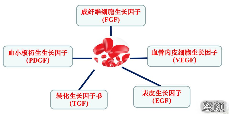 https://img.miyanlife.com/mnt/timg/200509/1254244055-4.jpg