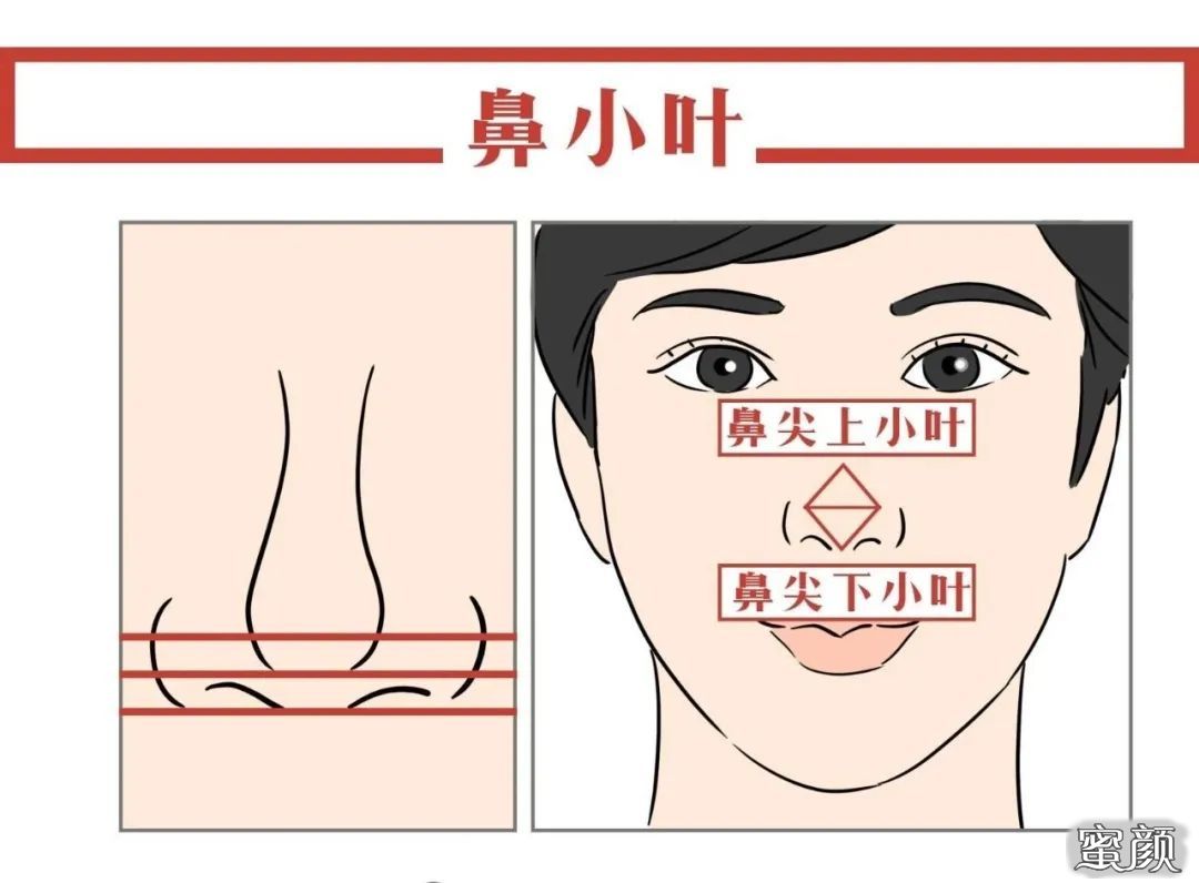 案例图片