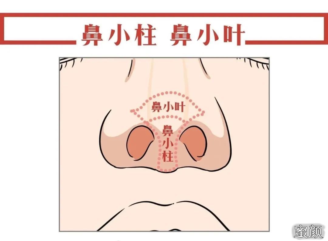 案例图片