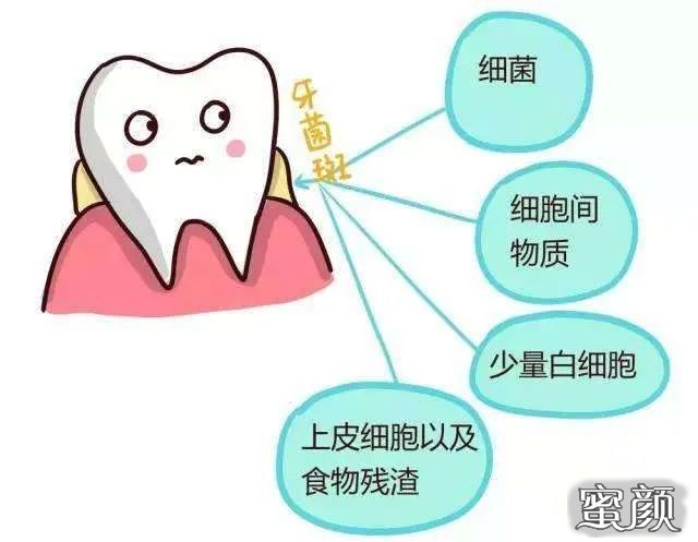 案例图片