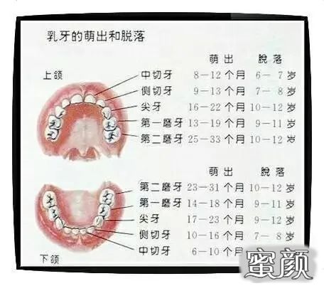 案例图片