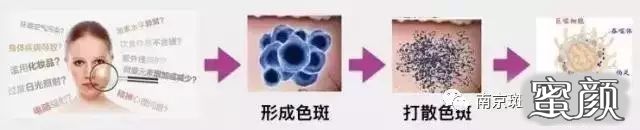 案例图片
