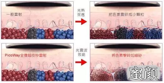 案例图片
