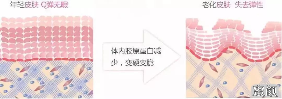 https://img.miyanlife.com/mnt/timg/200521/162Q35415-12.jpg