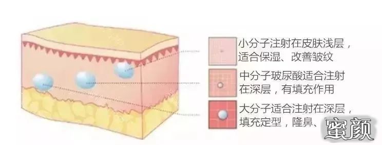 案例图片