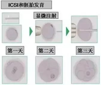 案例图片