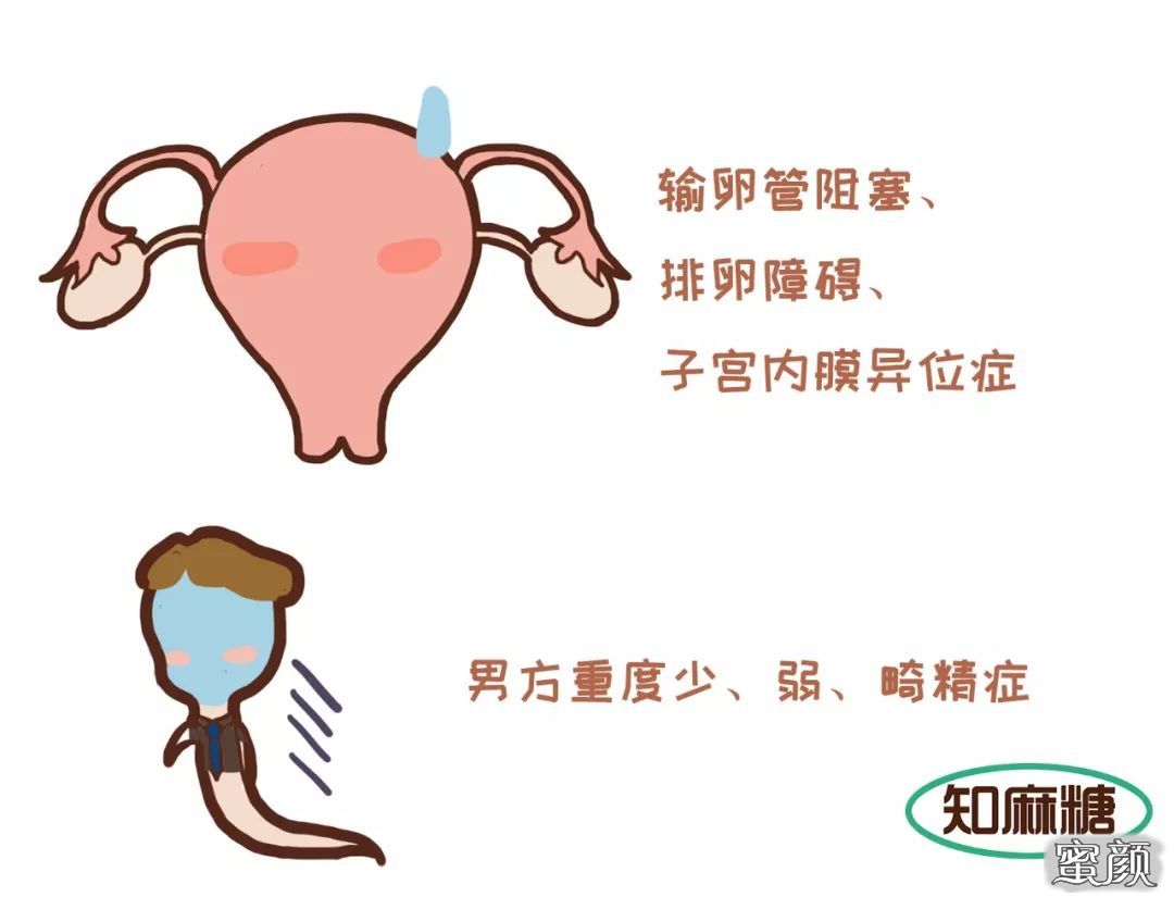 https://img.miyanlife.com/mnt/timg/200607/1206251402-0.jpg