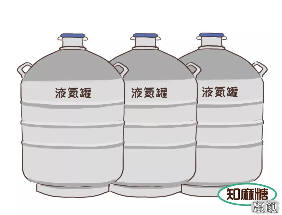 https://img.miyanlife.com/mnt/timg/200607/120A24519-7.jpg