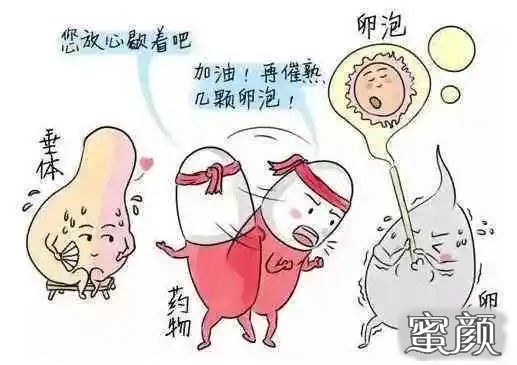 https://img.miyanlife.com/mnt/timg/200620/130I15539-1.jpg
