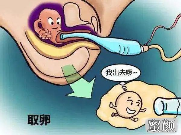 案例图片