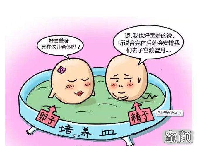 案例图片