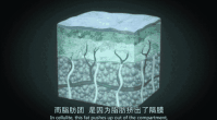 https://img.miyanlife.com/mnt/timg/200624/1112343b1-6.jpg