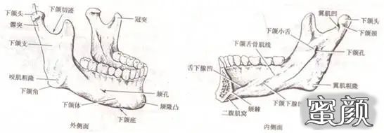 案例图片