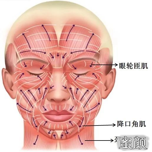 案例图片